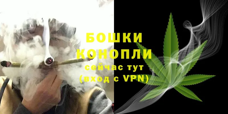 Бошки марихуана White Widow  блэк спрут как войти  Гусь-Хрустальный 